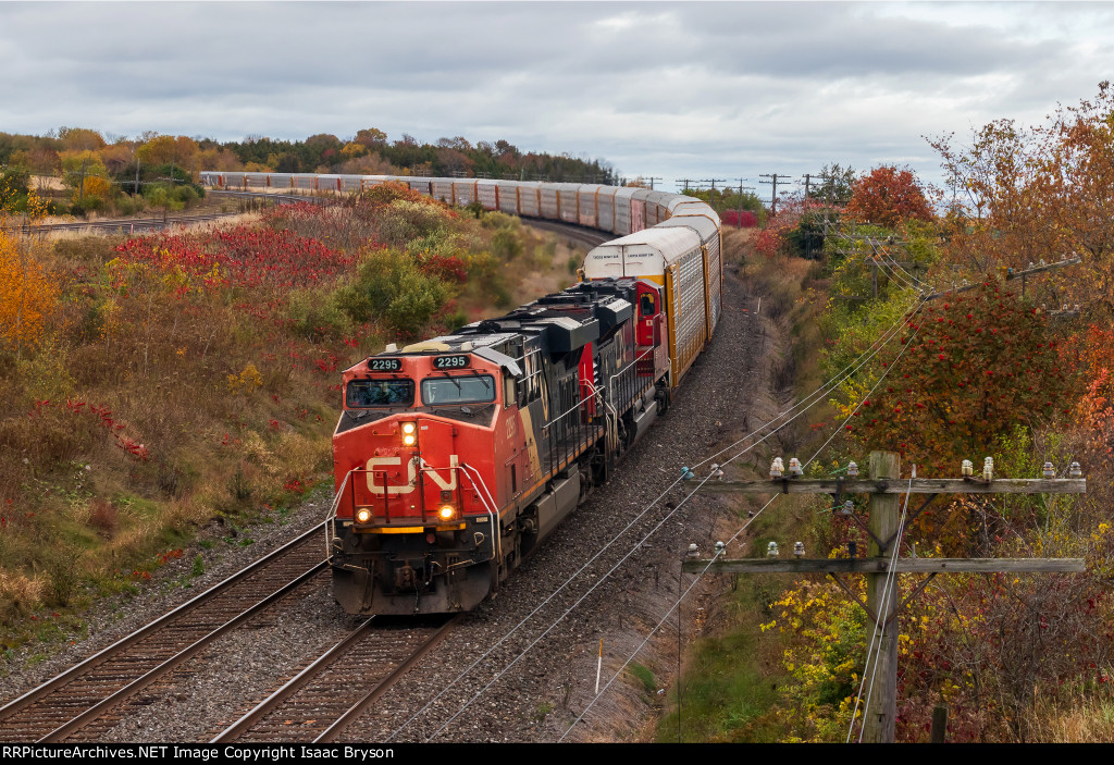 CN 2295